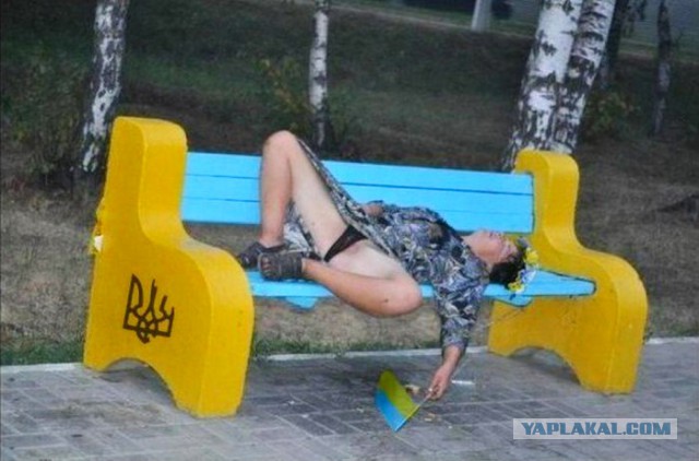 Хорошо погуляли!