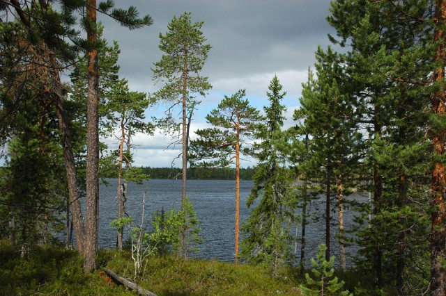 Деревенская Америка