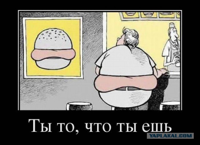 41 веселая картинка