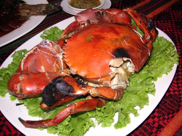 Кокосовый краб, пальмовый вор или...