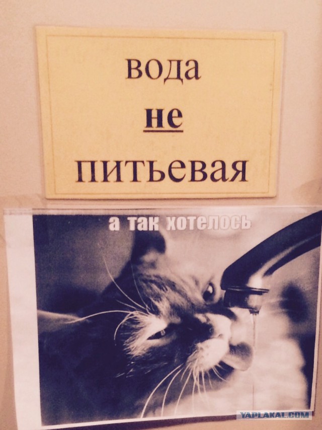 Смешные картинки из всея интернета