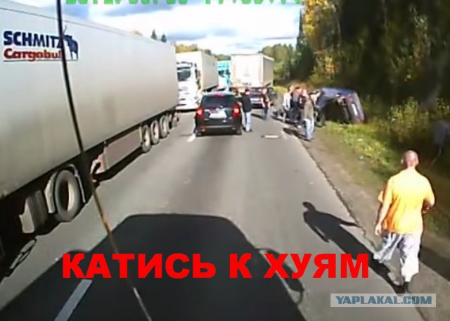 Шедевр от Д. Медведева