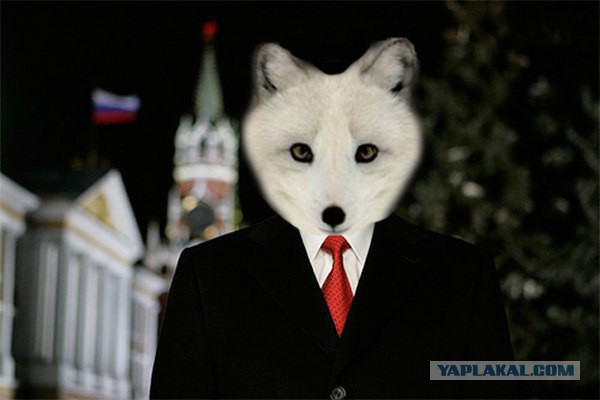 Уровень бедности в РФ в 2016 г. будет максимальным