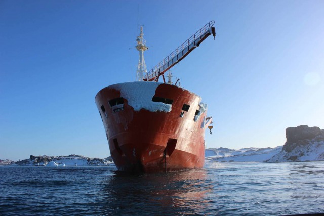 Полтора года зимы