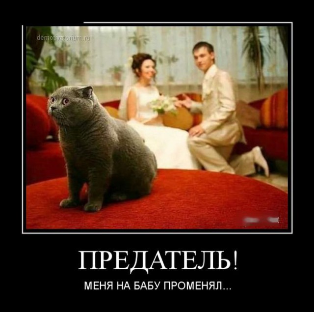 Ассорти картинок из сети