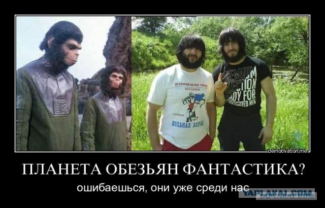 Дагестан: особенности национального вождения