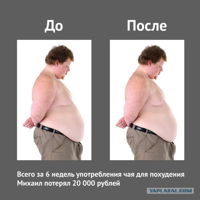 Сборище абсурда