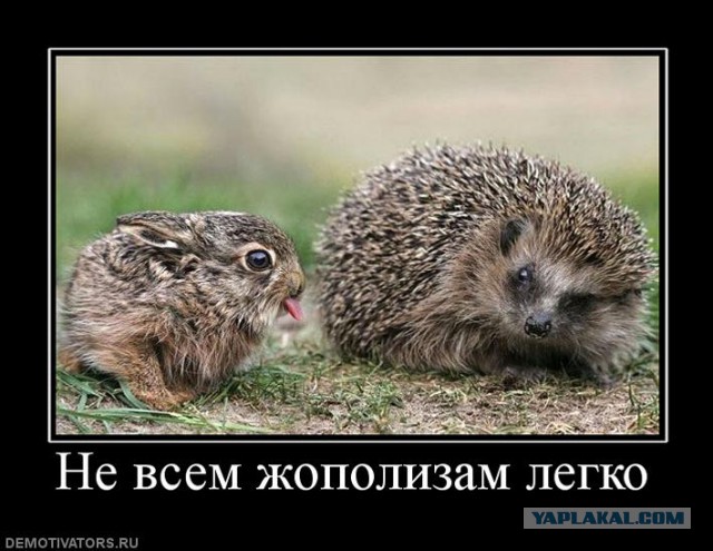 Майдан в США?
