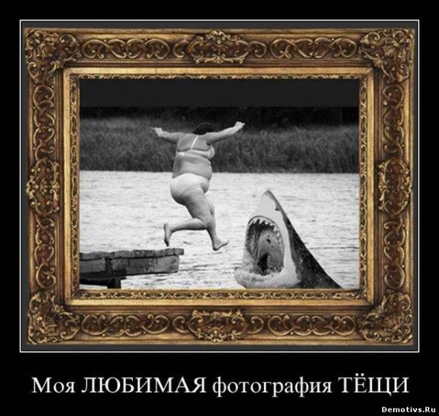Тёща приехала, стала жизни учить!