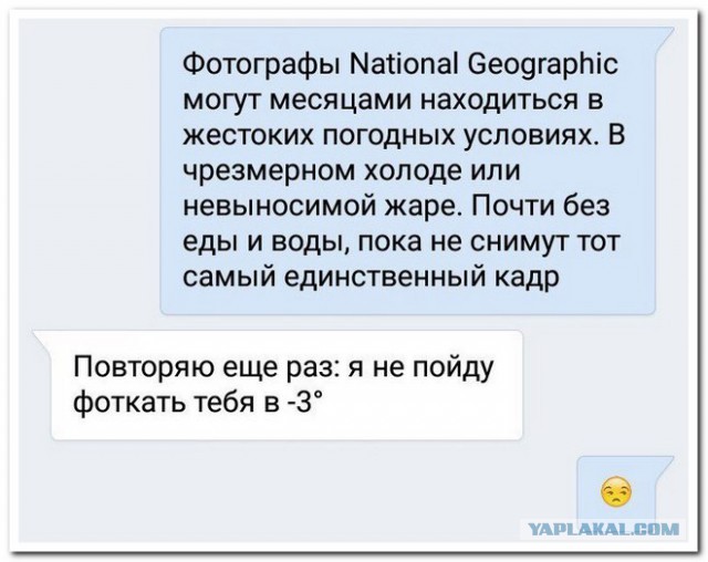 Смешные комментарии из социальных сетей 16.12.2016