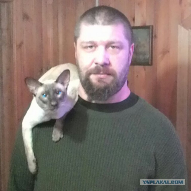 Кот грузинский