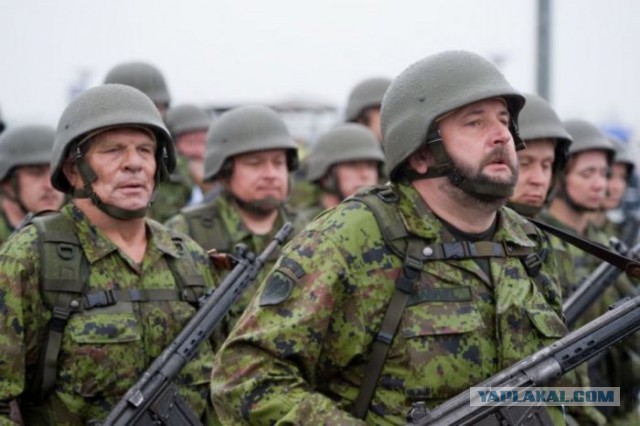 Латвия, Литва и Эстония решили воевать с ИГ