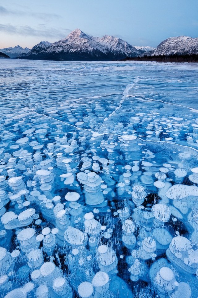 23 отличных снимка