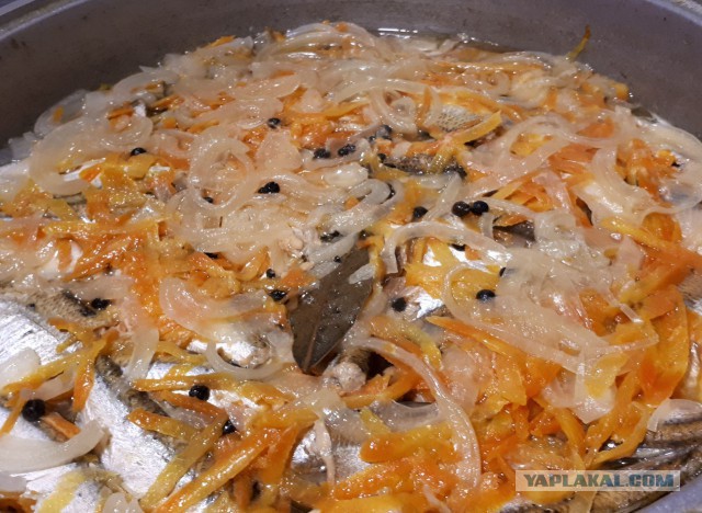 Домашние рыбные консервы.