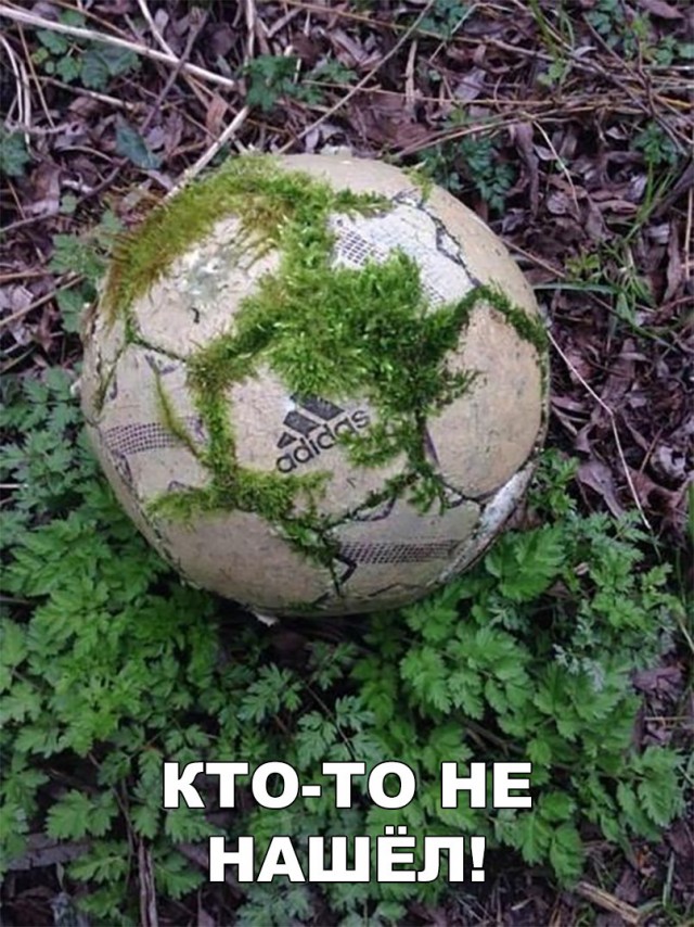 Нестандартный юмор