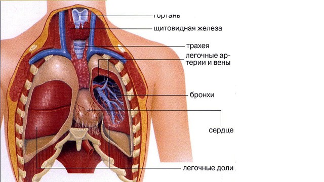 Что происходит с Землей?