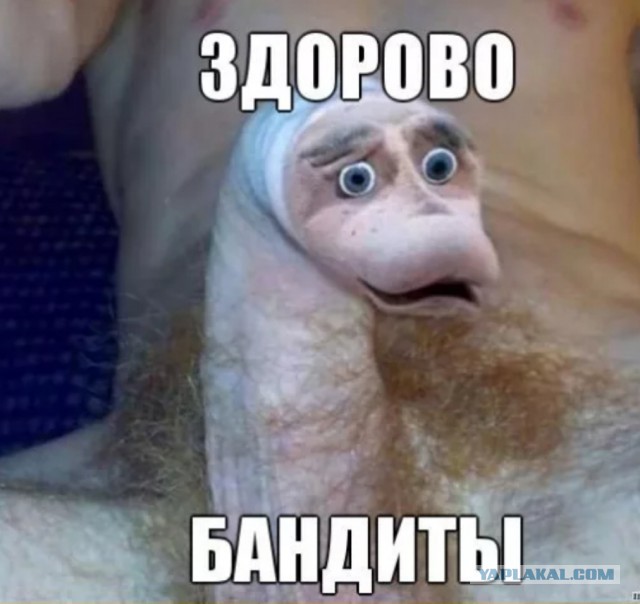 Ползучие гады повылезли