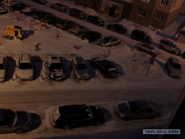 Мой двор