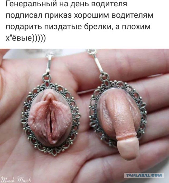 Картинки юморные и тексты 10.10