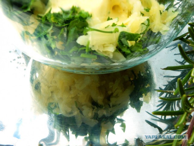 Селедка под шубой - 2019