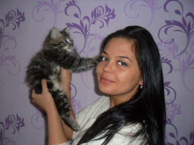 Котовторник 29.01.2013