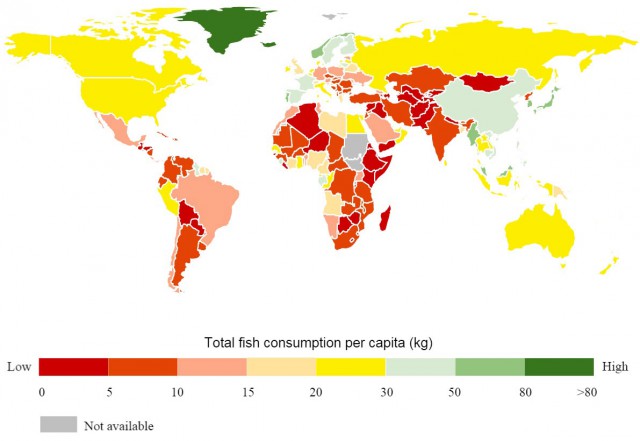 Почему рыба в нашей стране дороже мяса