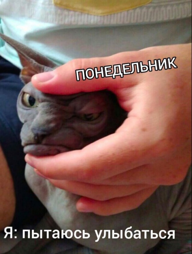 Немного картинок для настроения