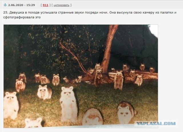 Охота в тайге? Да ну его...