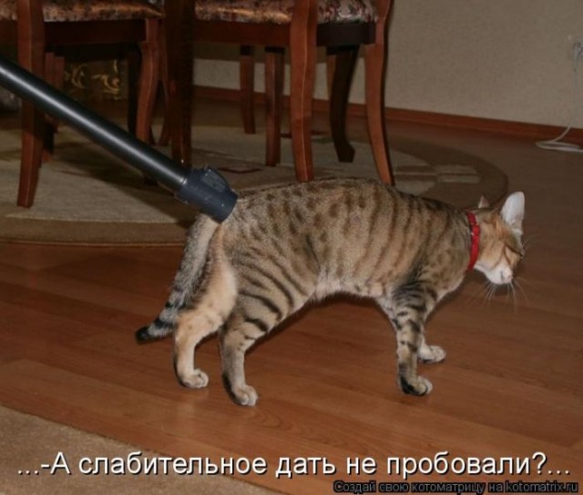 Картинки разные 08.10.2020
