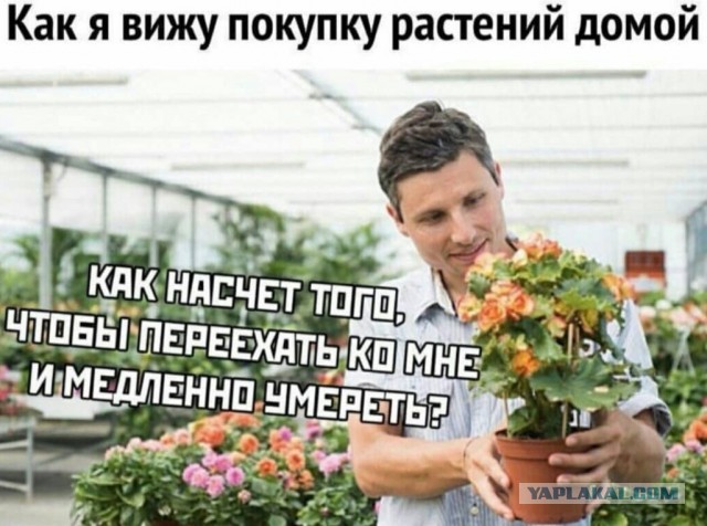 Юмор в картинках 25.10.20