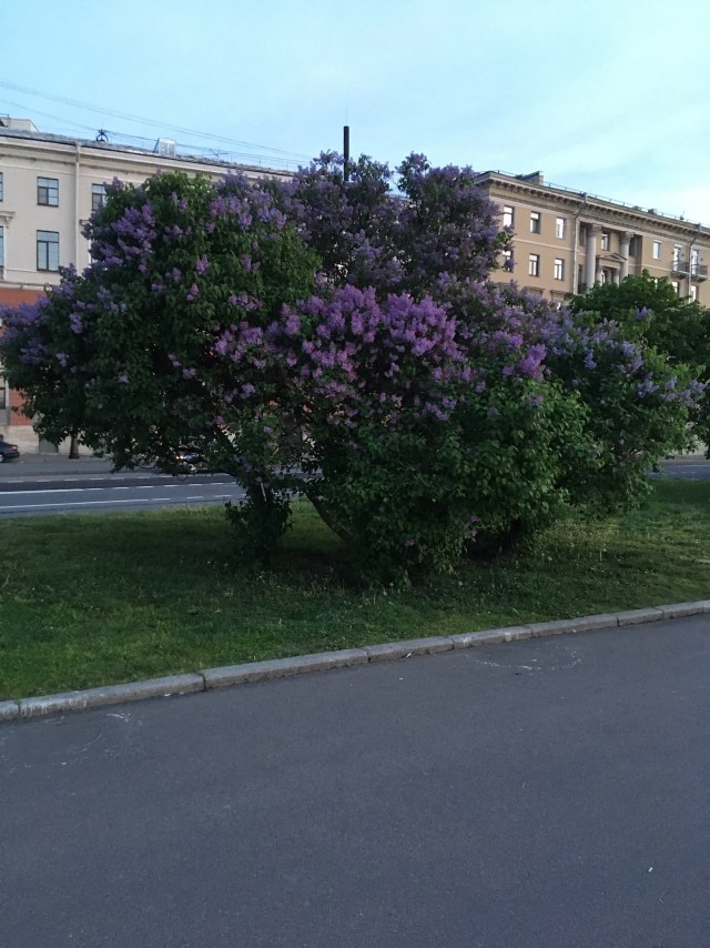 Санкт-Петербург на фотках с телефона