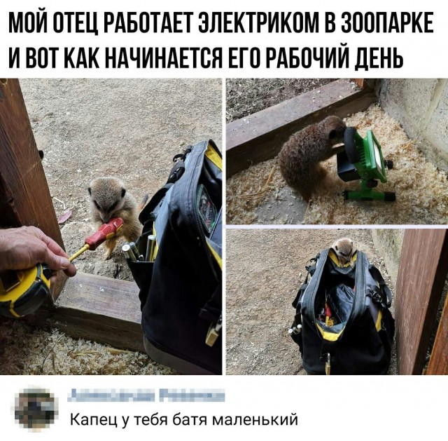 Никто работать не хочет...