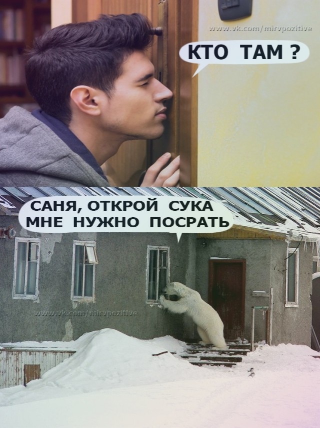 Дебилизмы из сети 04.02.21