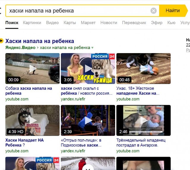 Охранник из Белгородской области выстрелил хаски в голову.