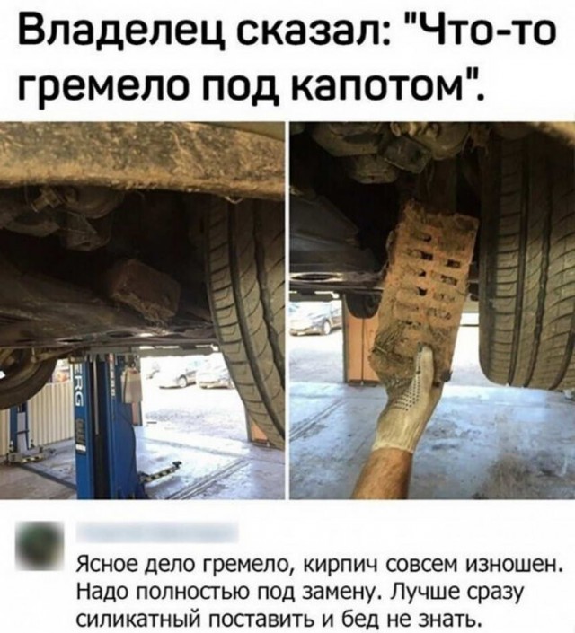 15365125.jpg