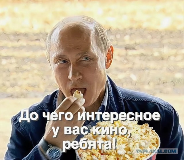 Тайны валдайской дачи уважаемого Владимира Владимировича Путина
