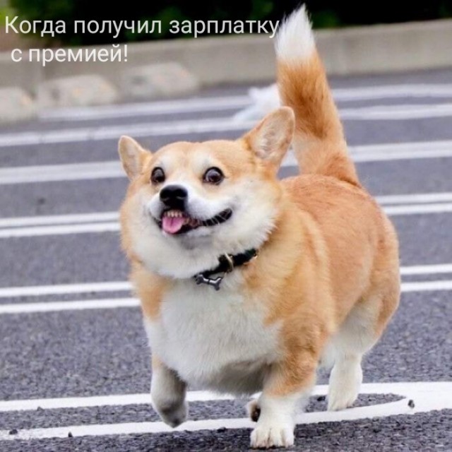 Добрые картинки с животными
