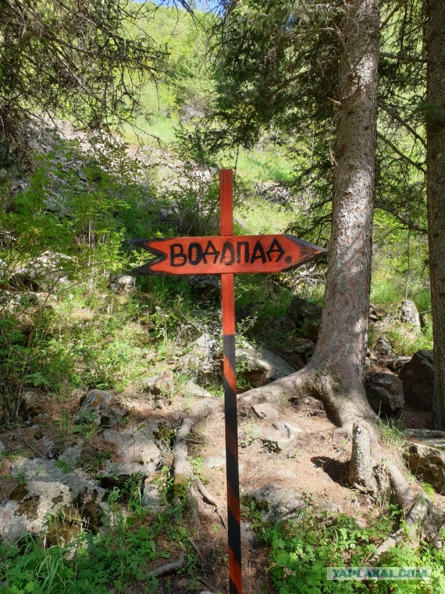 Кулинарная общалка