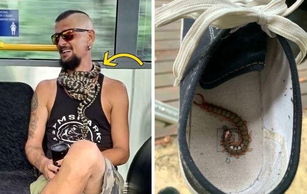 Тем временем в Австралии или 16 фото вещей, которым в этой стране уже никто не удивляется