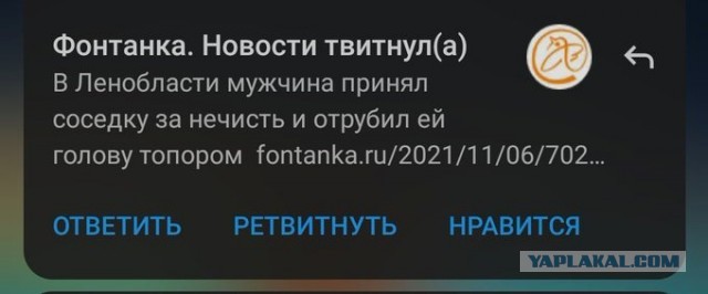 Весёлый полтишок 26.11