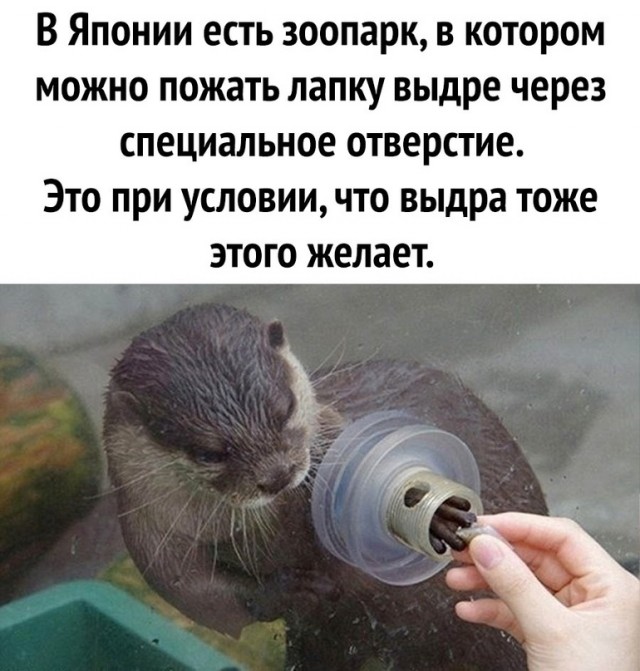 Картинки и мемы для настроения 21.12.21