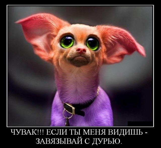 Пандемия. Коронавирус. Россия и мир. Часть 28