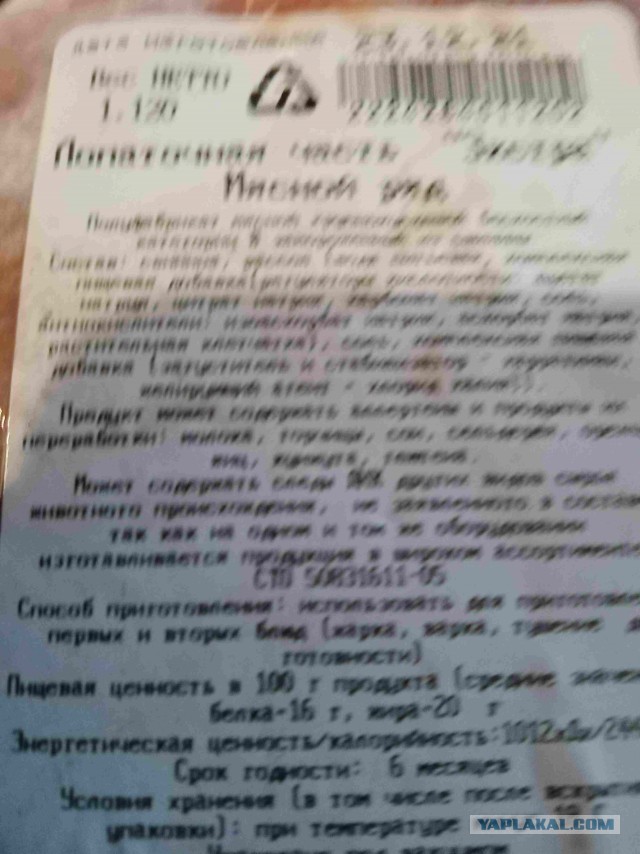 «Живем в богатом воеводстве»: новосибирцы переехали в Польшу ради лучшей жизни. Как там на самом деле?