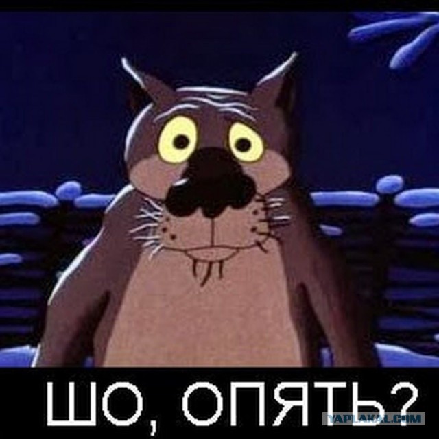 Памяти Владимира Вольфовича - видео от РИА