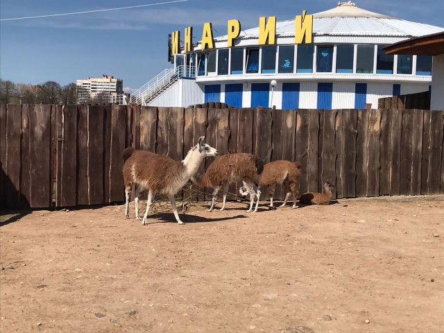 Поездка в Минск