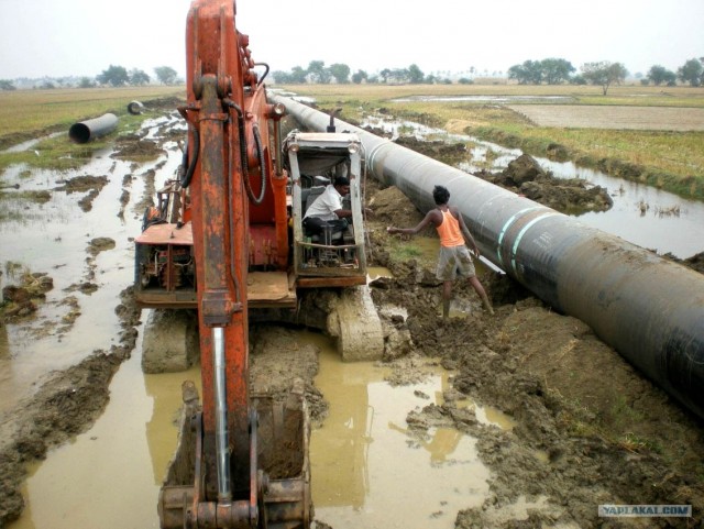 Индия 2007 - 2008 г.