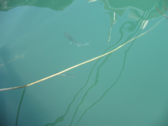 Отдых в Черногории (сентябрь 2012)