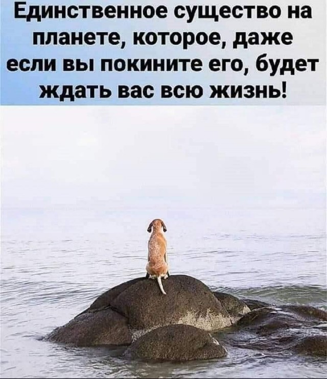 50 оттенков серого если самосвал баянов.  Vol.23