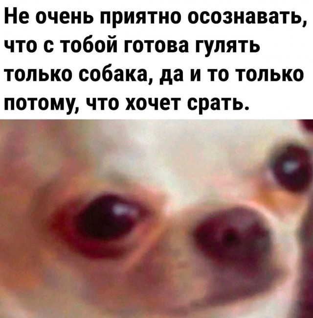 Картинки и надписи разные на злобу дня и на доброту (20.10)