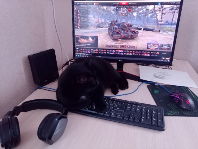 Ну и как тут быть?!